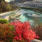 Die Farben des Herbstes - Spaziergang in der Wallner-Au Schwarzach