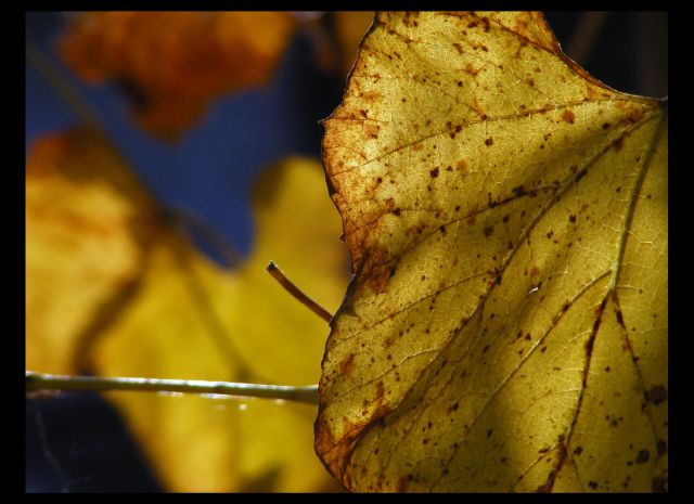 Die Farben des Herbsts