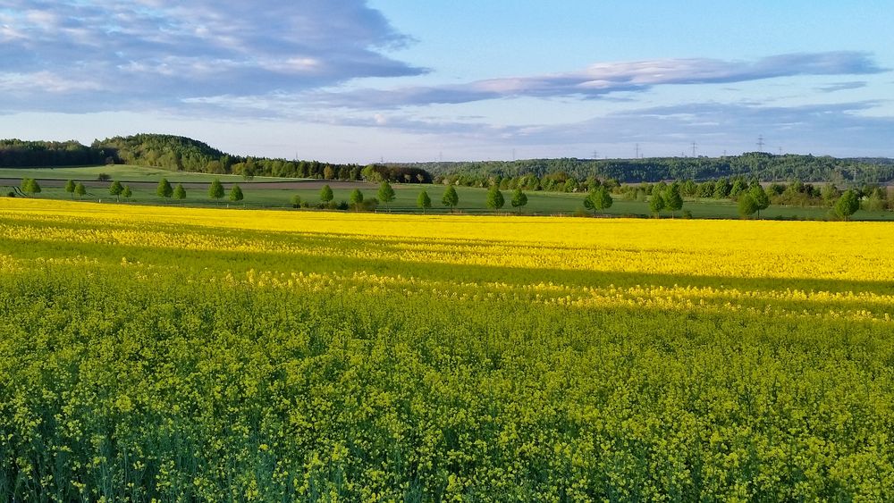 Die Farben des Mai