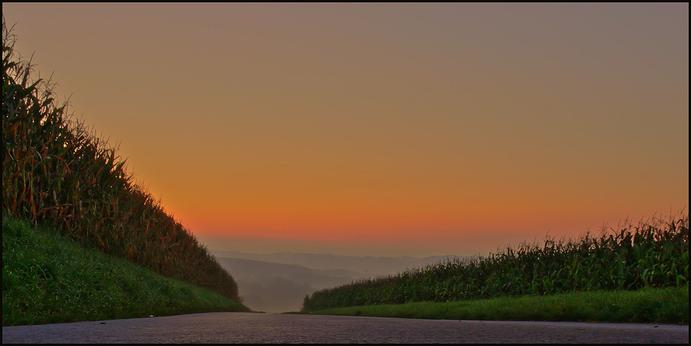 Die Farben des Morgens