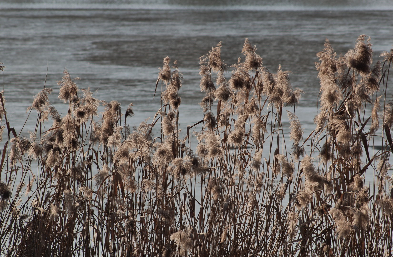 die Farben des nahenden Winter s