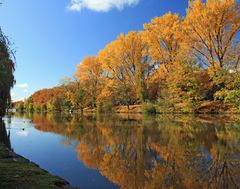 Die Farben des Oktoberlichts