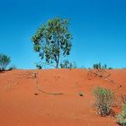 die Farben des Outback