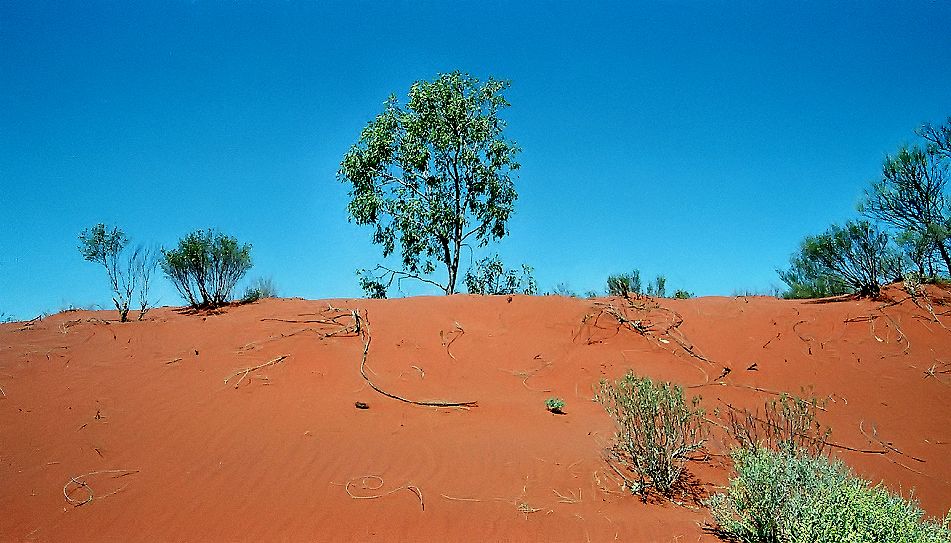 die Farben des Outback