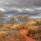 Die Farben des Outback