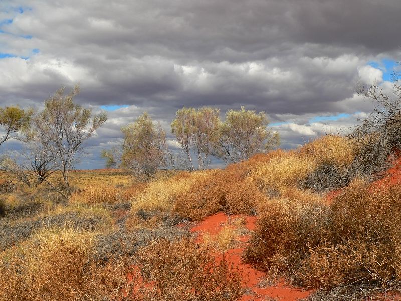 Die Farben des Outback