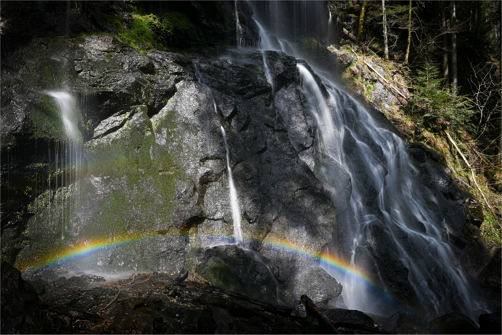 die Farben des Regenbogens