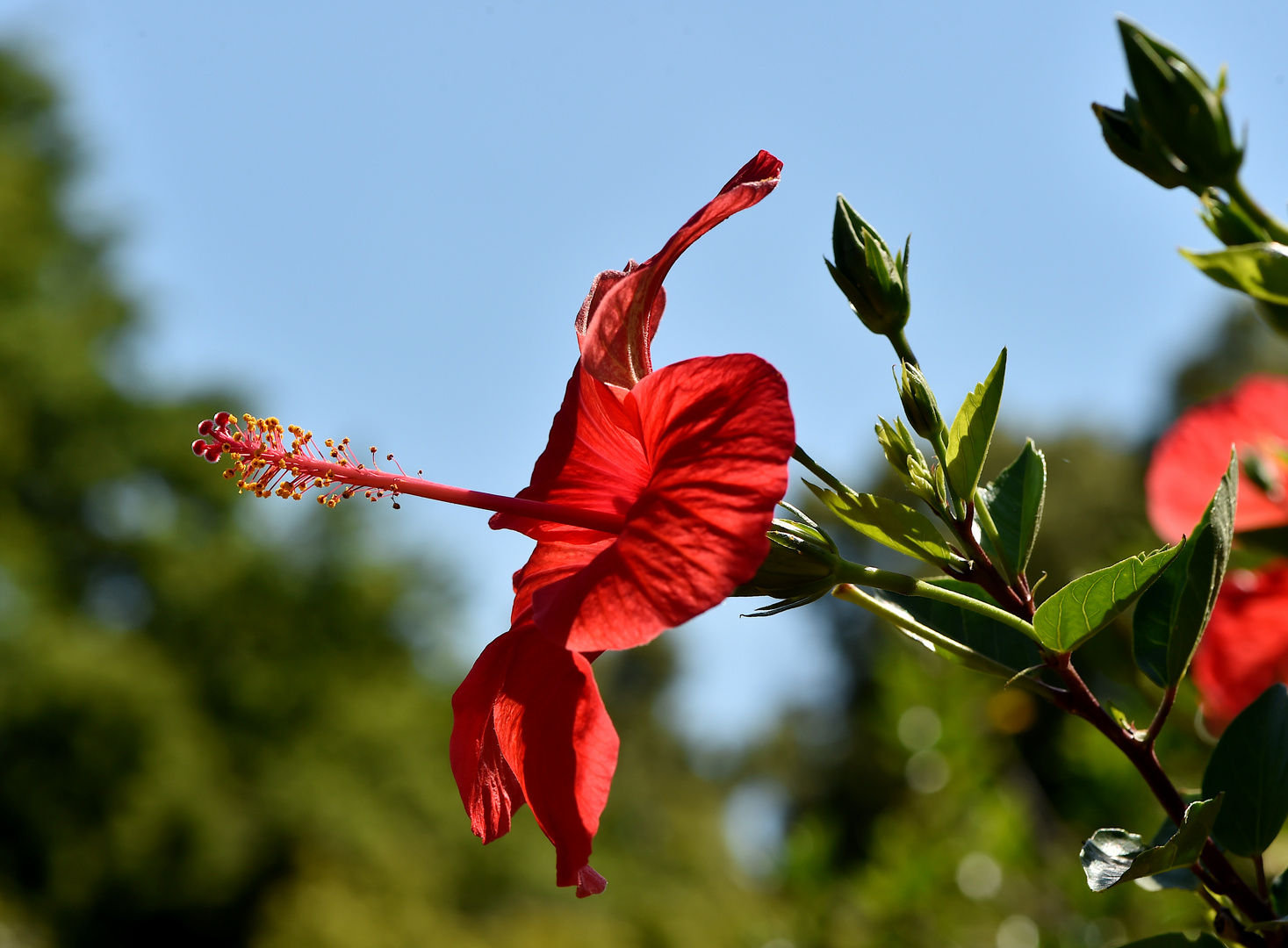 Die Farben des Sommers