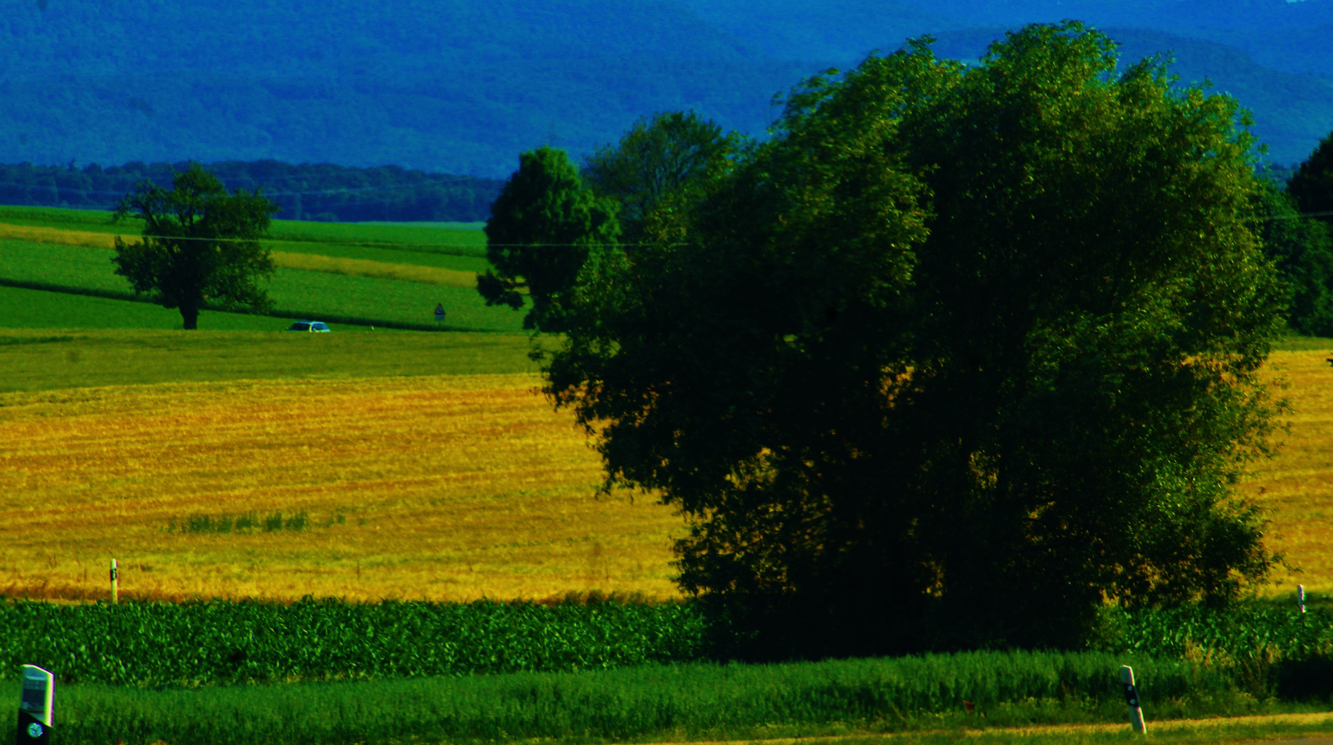 die Farben des Sommers 2