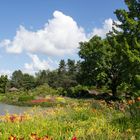 Die Farben des Sommers