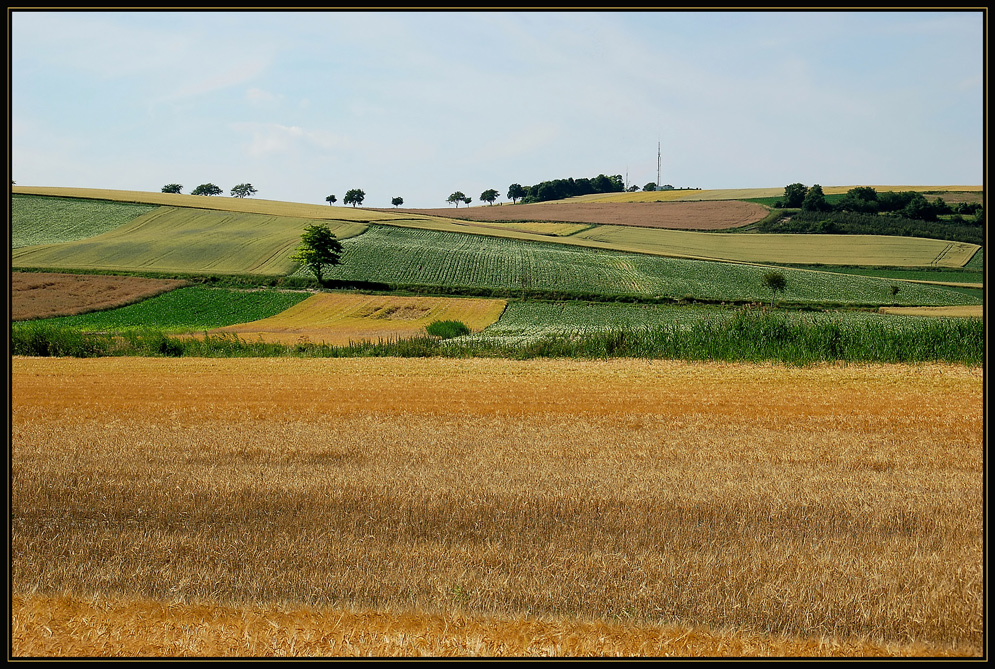 Die Farben des Sommers...