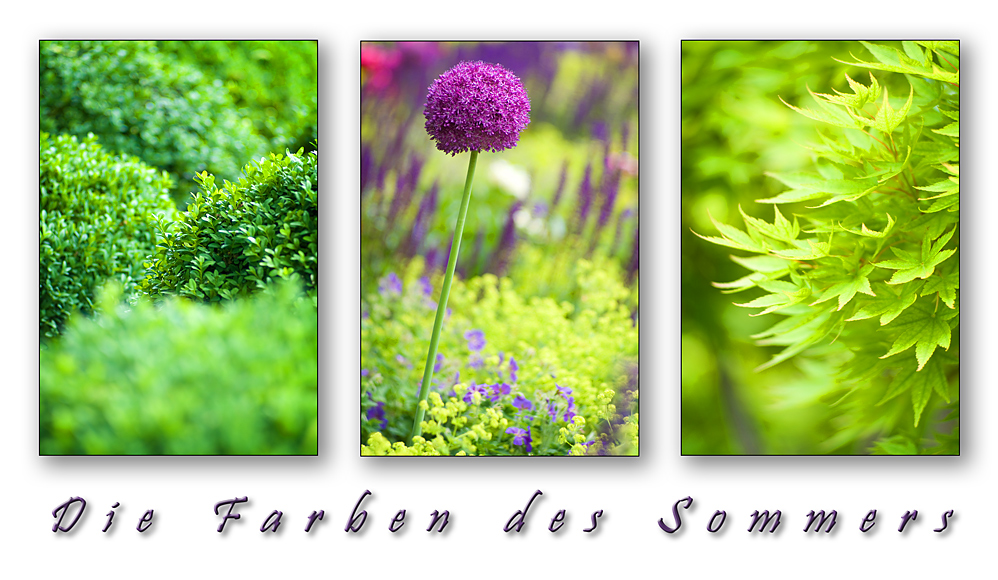 Die Farben des Sommers