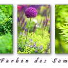 Die Farben des Sommers