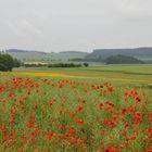 die Farben des Sommers