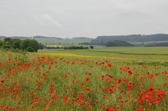 die Farben des Sommers