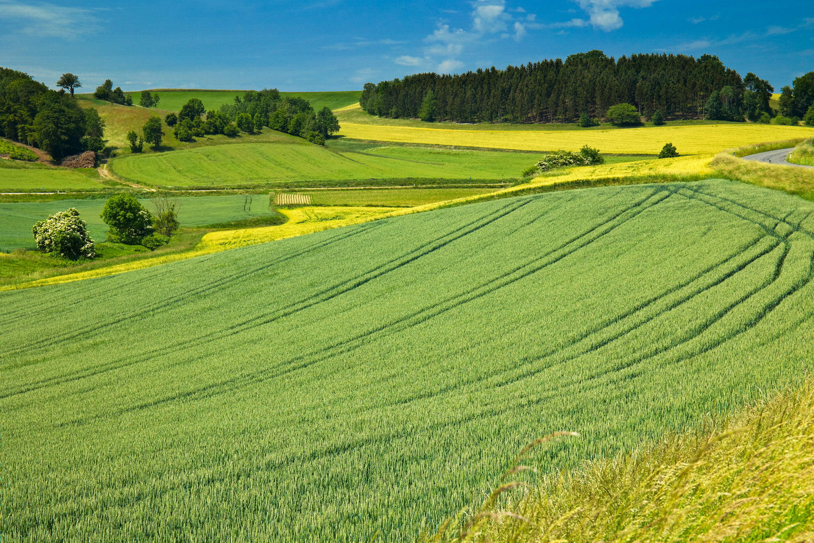 Die Farben des Sommers