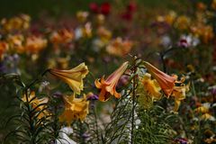 Die Farben des Spätsommers 