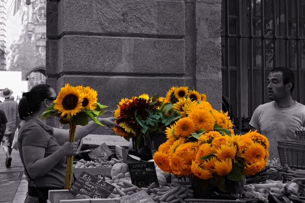 Die Farben des Südens