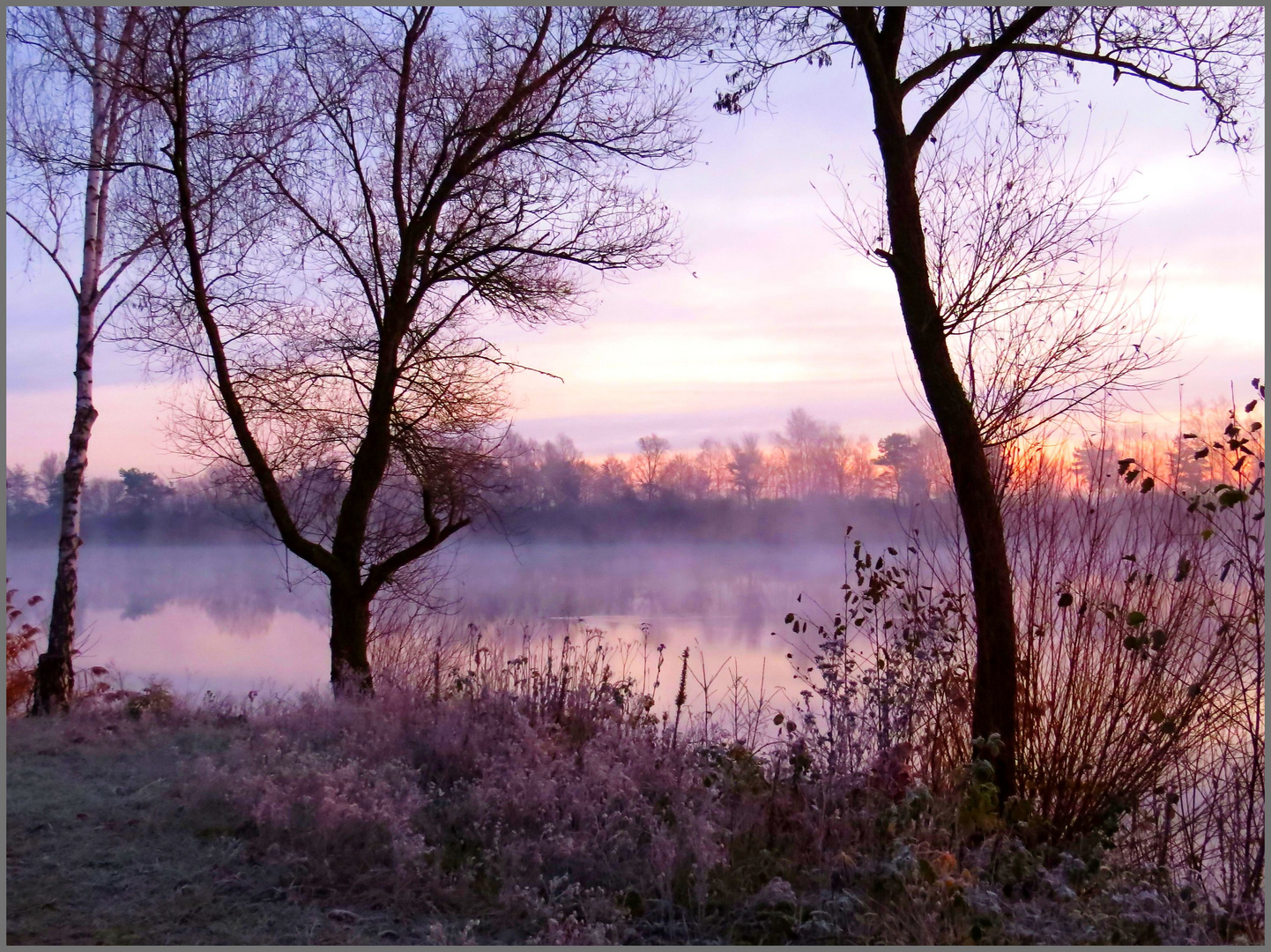 Die Farben des Wintermorgens