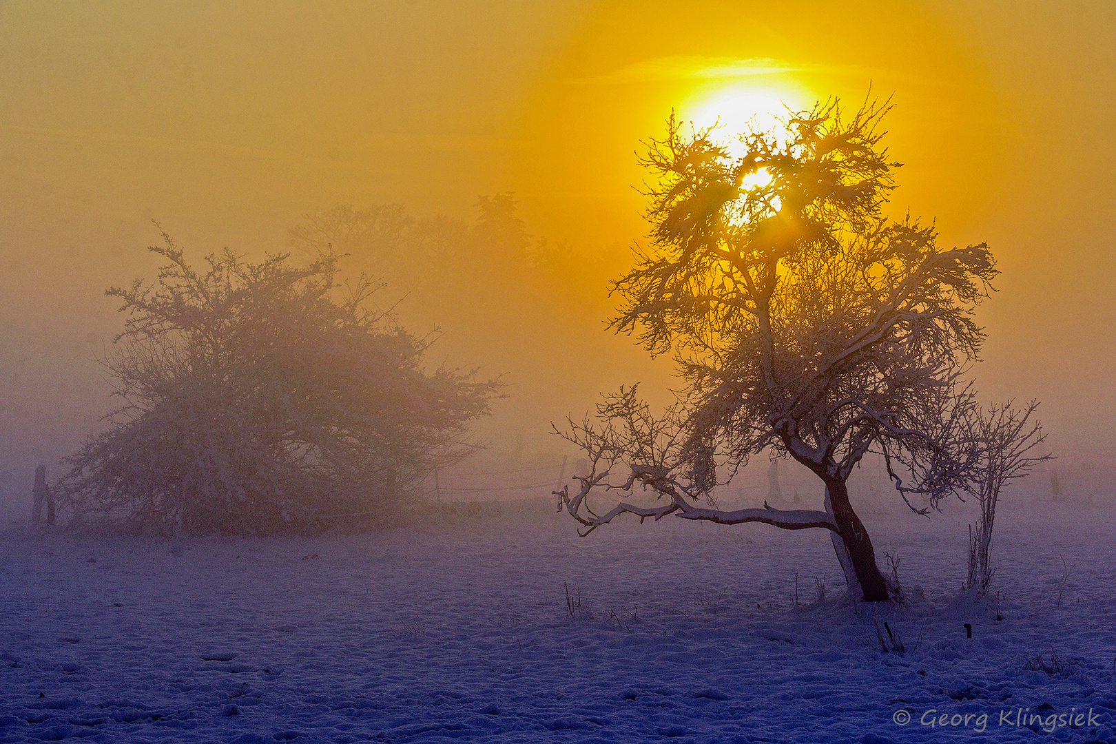 Die Farben des Winters 1