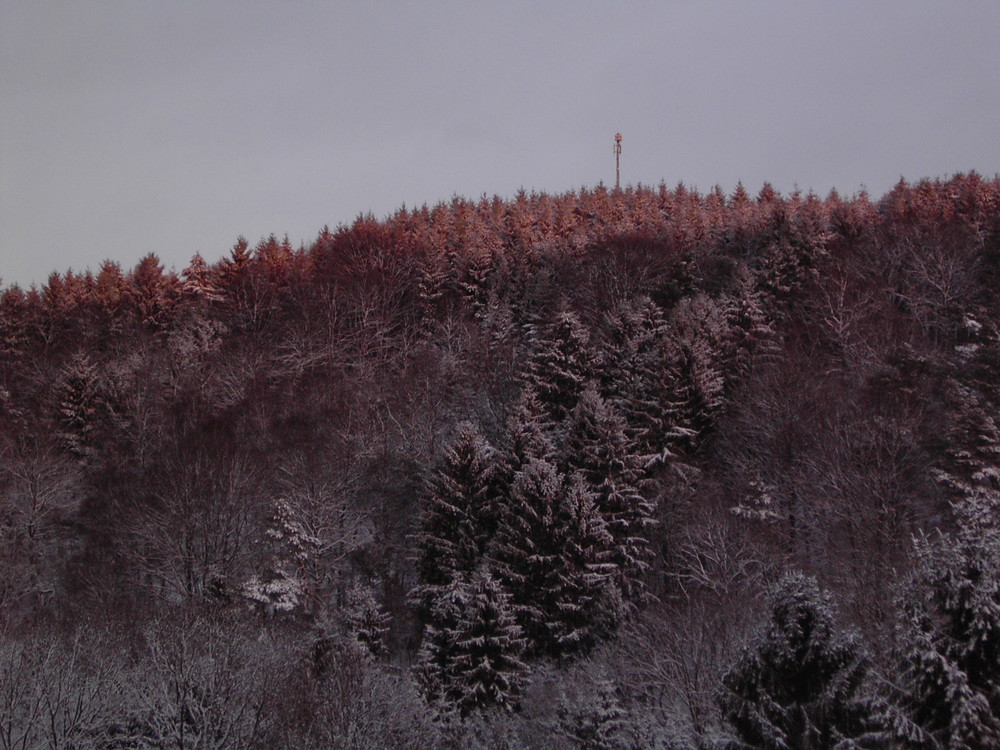 Die Farben des Winters von Wolfgang von der Hocht