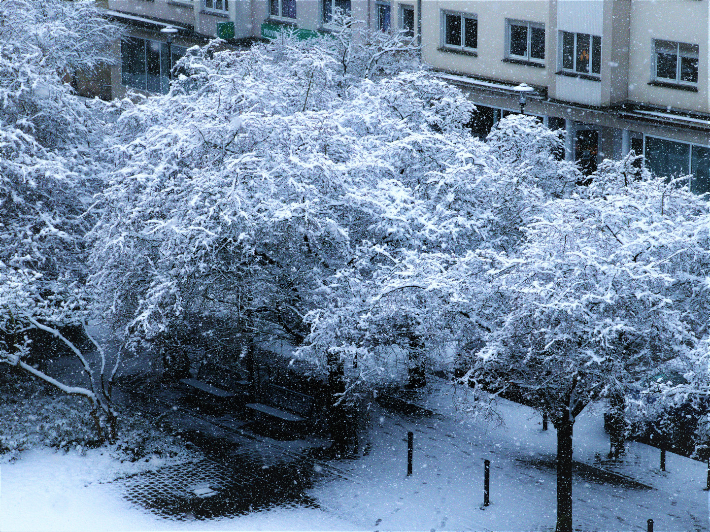 Die Farben des Winter's