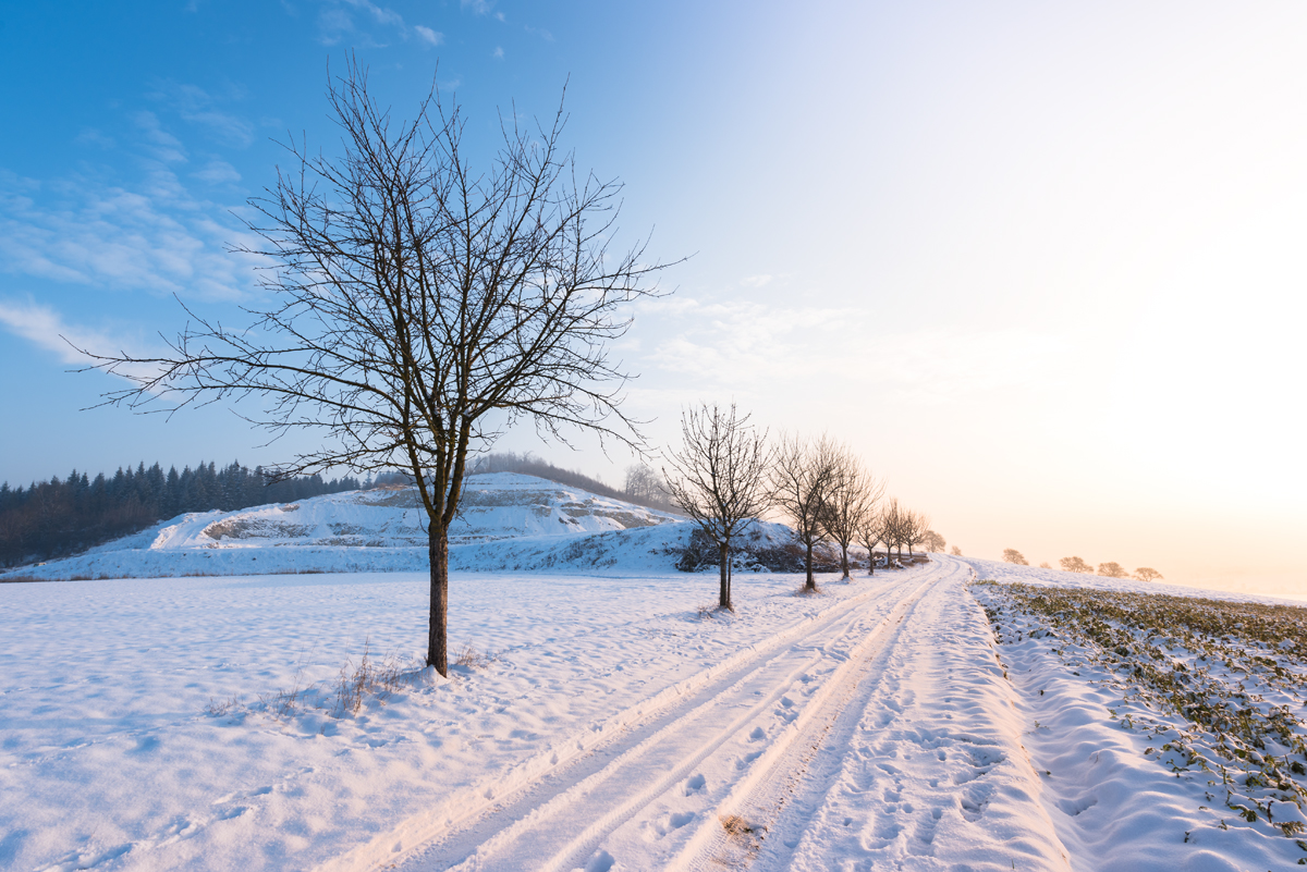 Die Farben des Winters