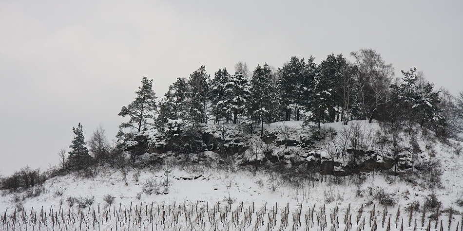 die Farben des Winters