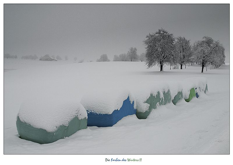 Die Farben des Winters II