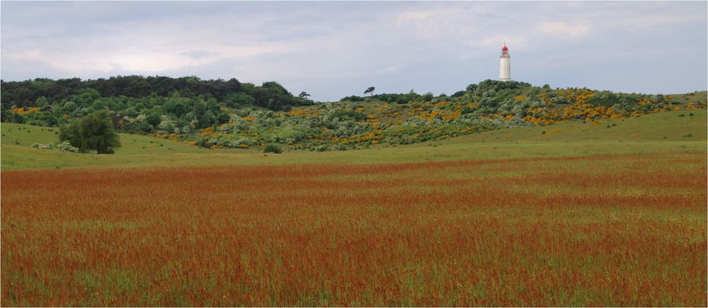 DIE FARBEN EINER INSEL