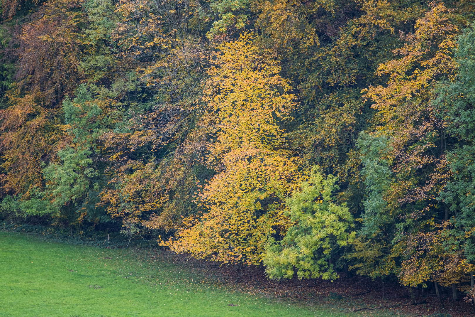 Die Farben gestern