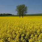  Die Farben im April 