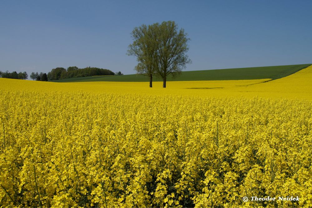  Die Farben im April 