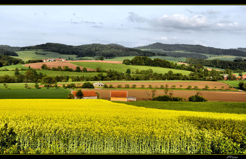 die Farben im Mai, (3)