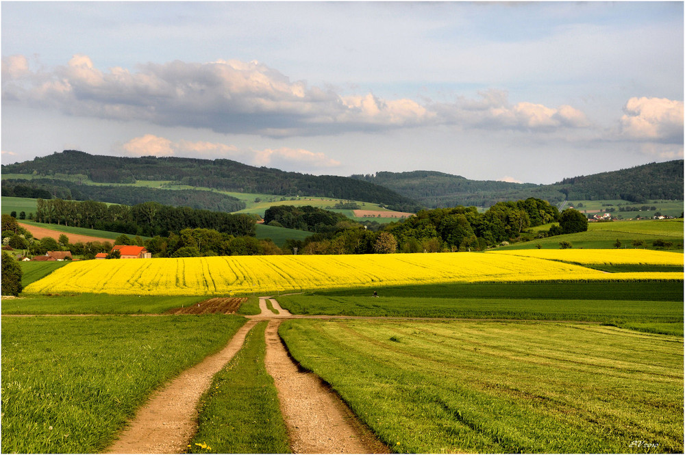 die Farben im Mai,