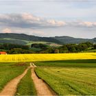 die Farben im Mai,