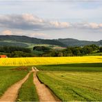 die Farben im Mai,