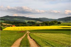 die Farben im Mai,