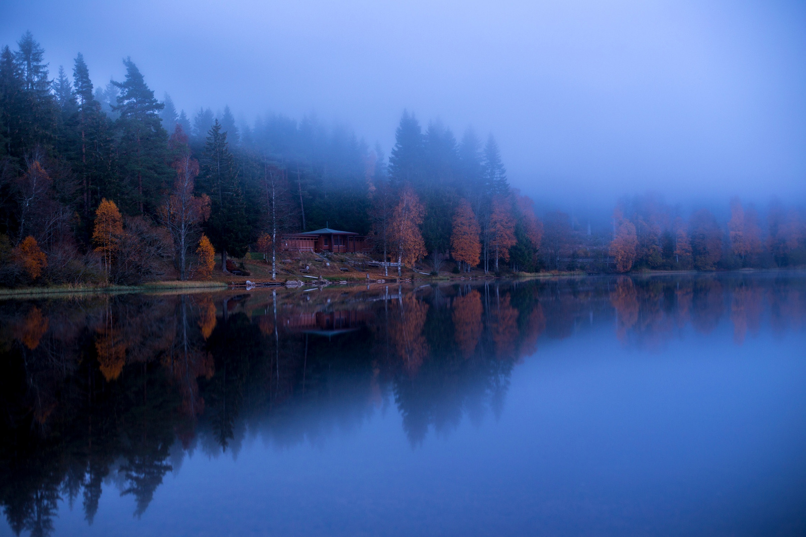 die Farben im Nebel