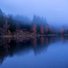 die Farben im Nebel