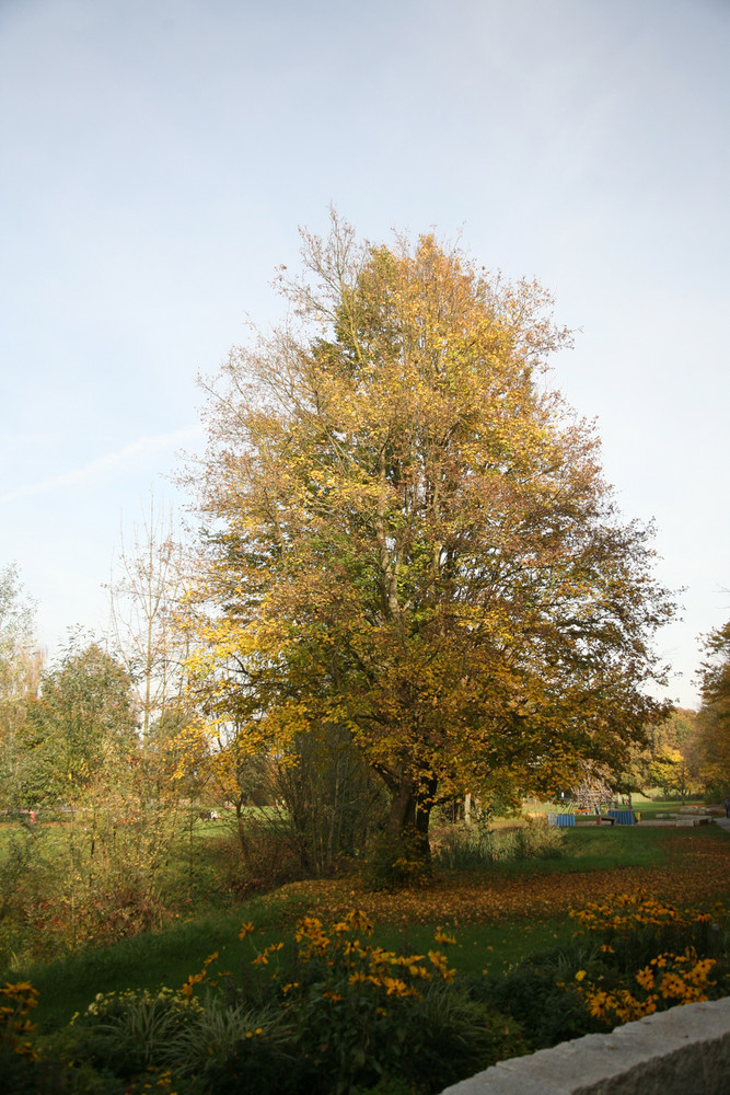 Die Farben im Park