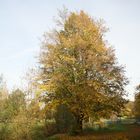 Die Farben im Park