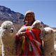 Peru-Bolivien-Chile 