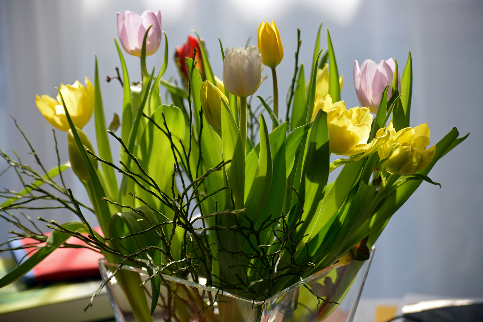 Die Farben und das Leuchten des Frühlings