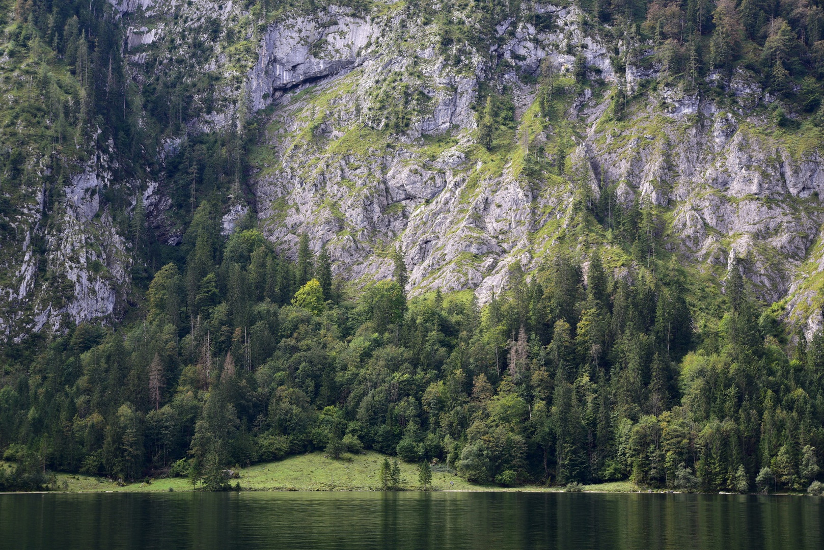 Die Farben und das Licht 