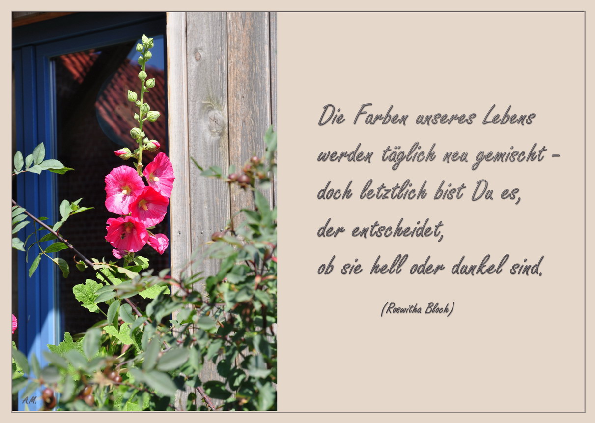 Die Farben unseren Lebens ....