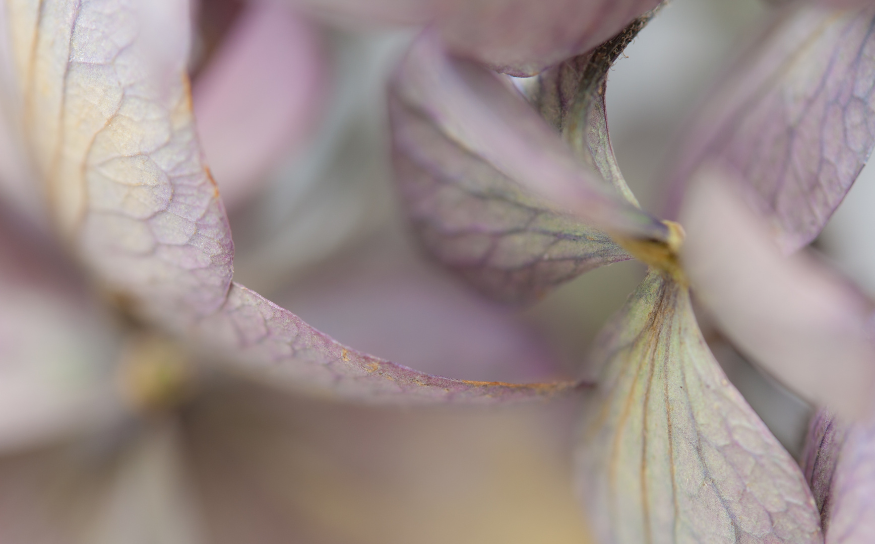 Die Farben verblassen