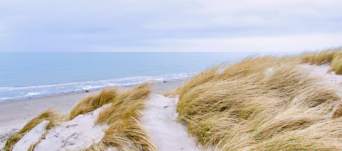 Die Farben von Weststrand Prerow