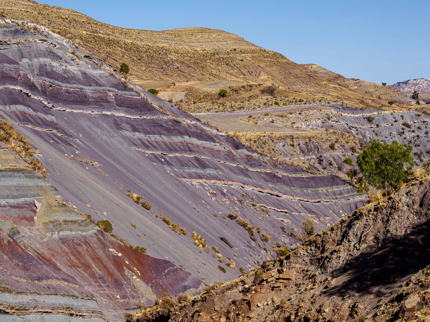die Farbenpracht der Corillera de los Frailes Foto & Bild world