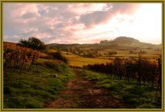 Die Farbenpracht eines Herbstmorgens an der Hessischen – Bergstraße